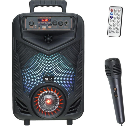 اسپیکر بلوتوثی قابل حمل NDR مدل P44 سایز 8 اینچ