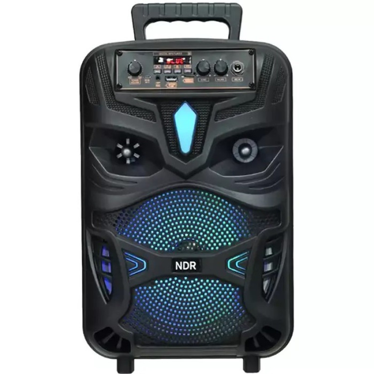اسپیکر بلوتوثی قابل حمل NDR مدل P-55 سایز 8 اینچ